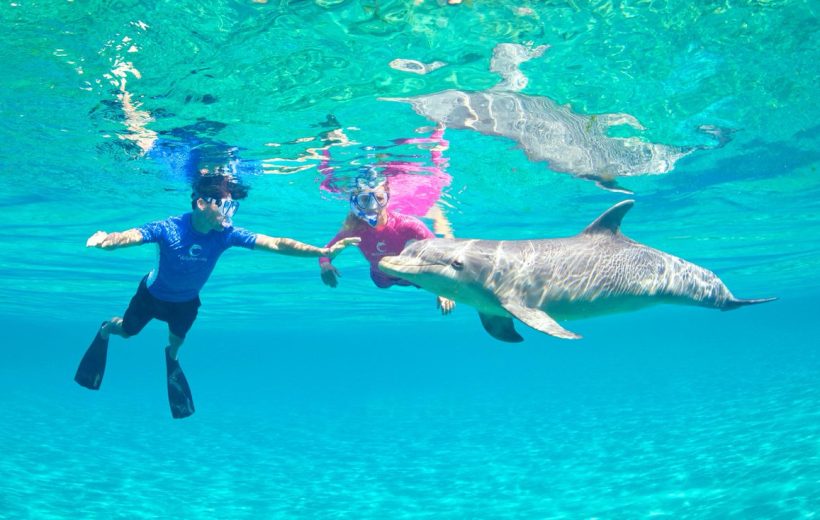 Family Recreational Journey Highlights Of Egypt ( 10 ) Days